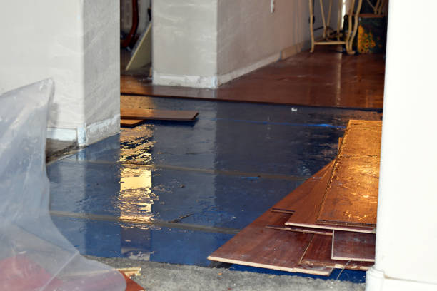 Professional Sewage Cleanup technician working in Hudson, MA